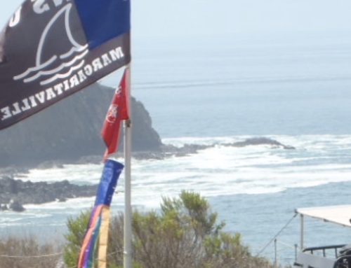 Crystal Cove State Park – Moro Campground